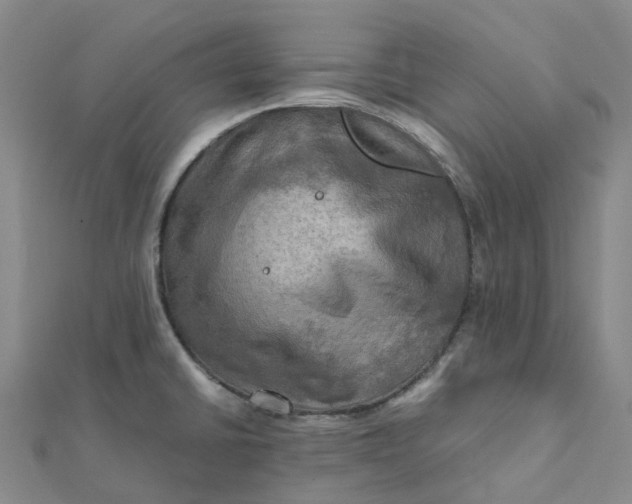 X0000112091430200908251118