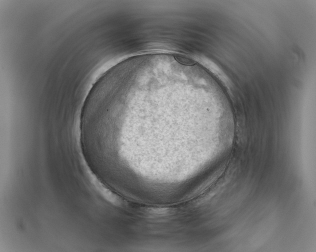 X0000112091431200908251118