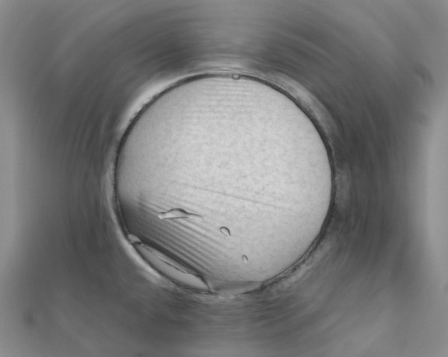 X0000112091432200908251118