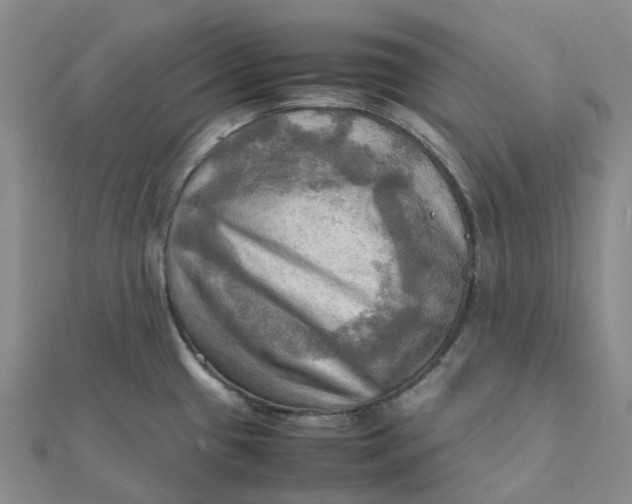 X0000112091433200908251118