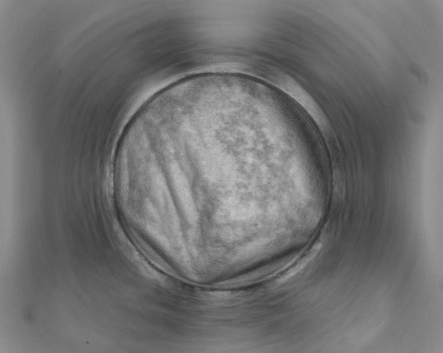 X0000112091436200908251118