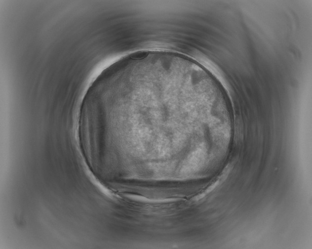 X0000112091437200908251118