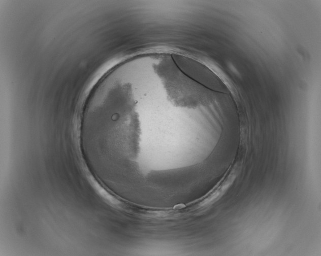 X0000112091438200908251118