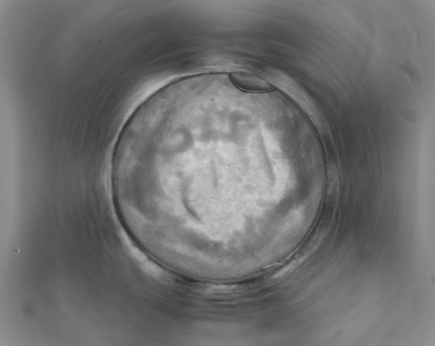 X0000112091439200908251118