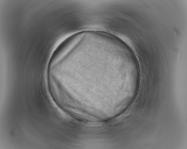 X0000112091440200908251118