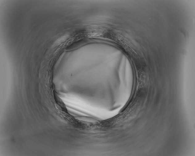 X0000112091441200908251117