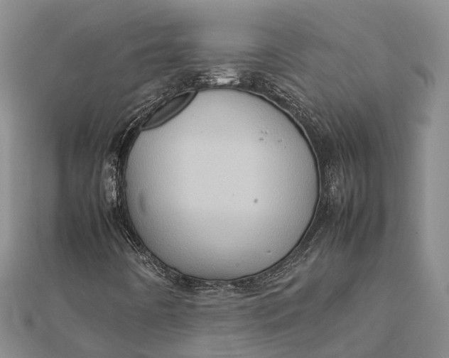 X0000112091442200908251117