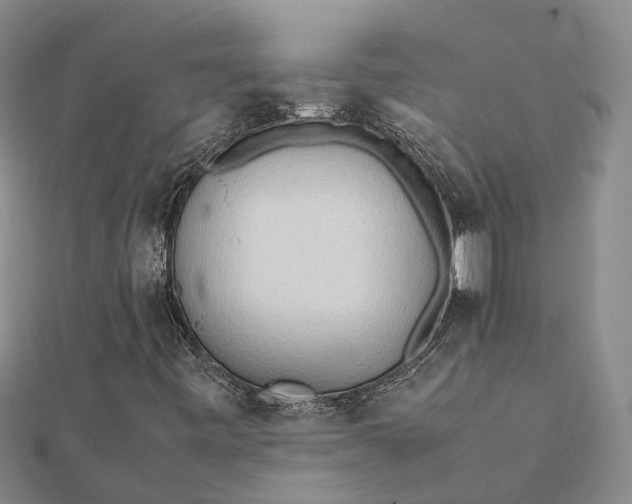 X0000112091443200908251117