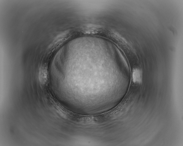 X0000112091444200908251117