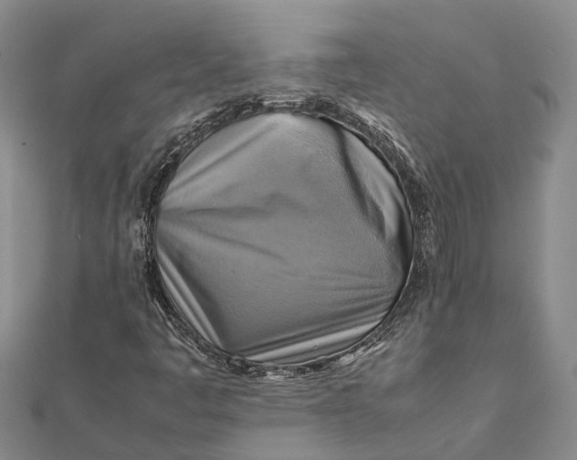 X0000112091445200908251117