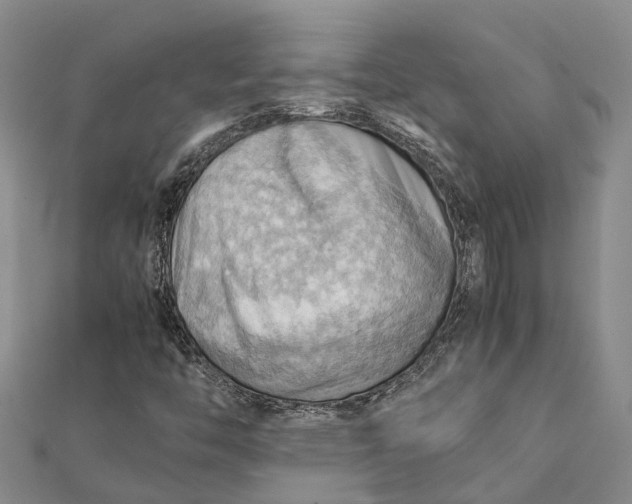 X0000112091446200908251117