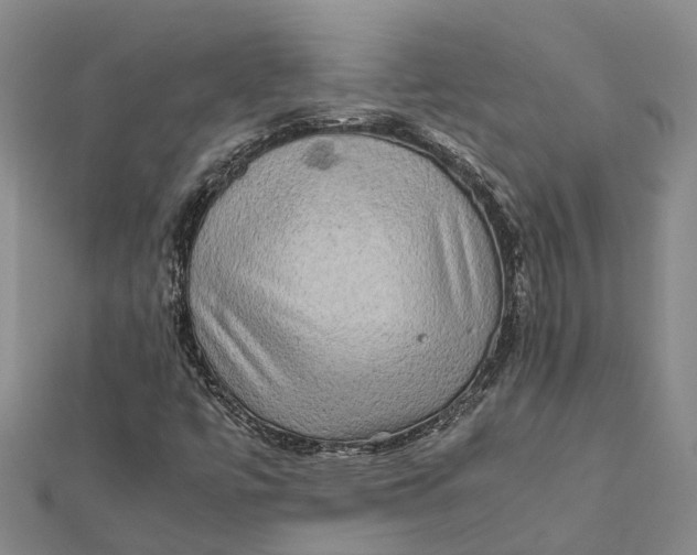 X0000112091447200908251117