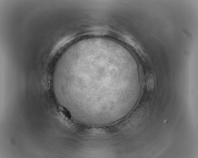 X0000112091448200908251117