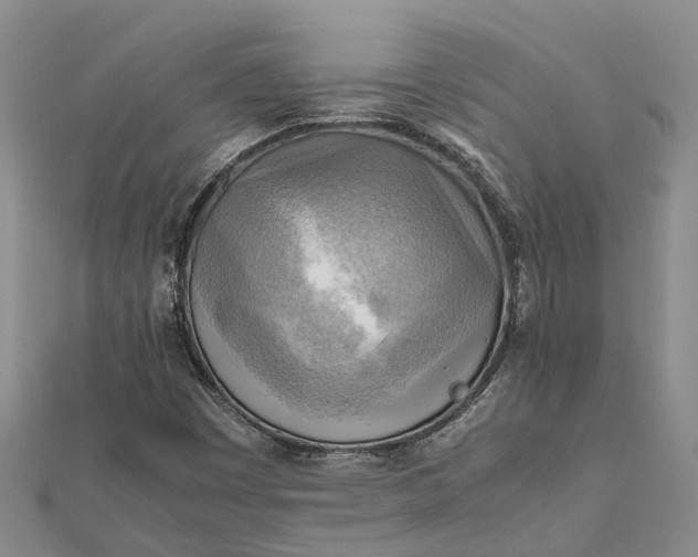 X0000112091449200908251117