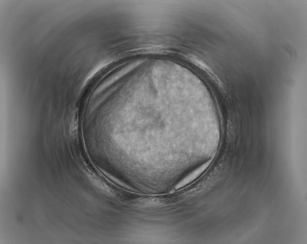 X0000112091450200908251117