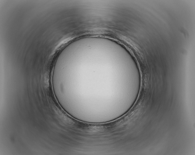 X0000112091451200908251117