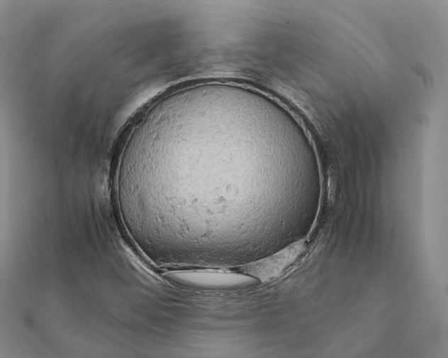 X0000112091452200908251117