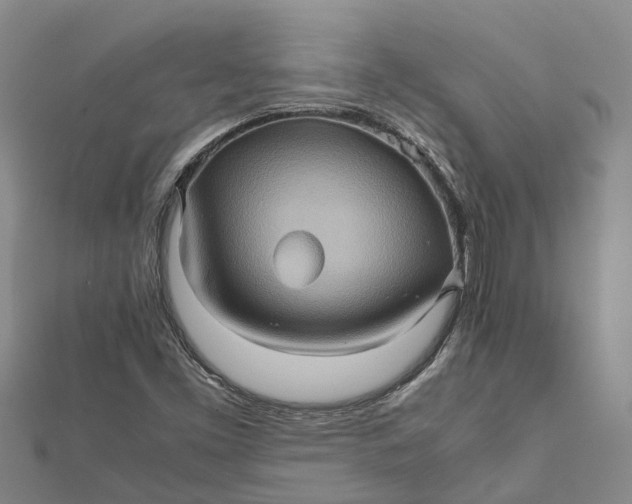 X0000112091453200908251117