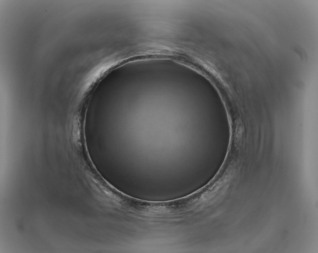 X0000112091455200908251117