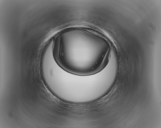 X0000112091456200908251117