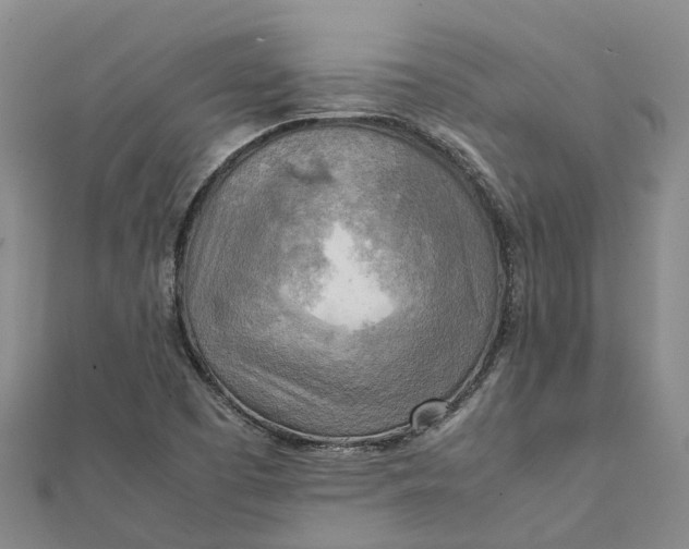 X0000112091457200908251117