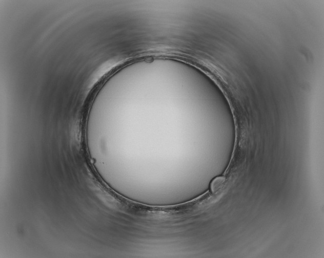 X0000112091458200908251117