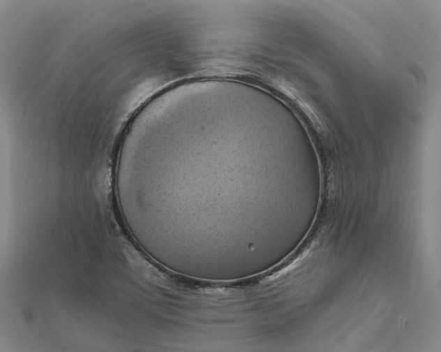 X0000112091459200908251117