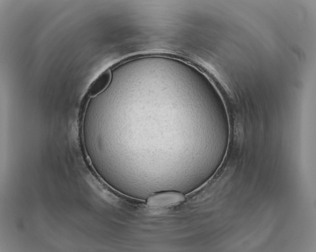 X0000112091460200908251117