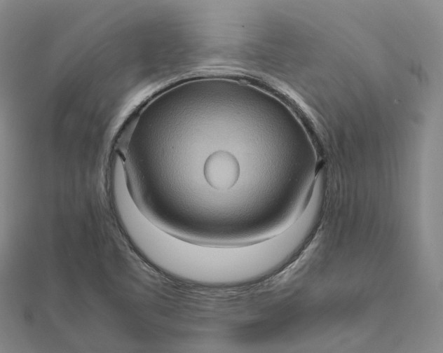 X0000112091461200908251117