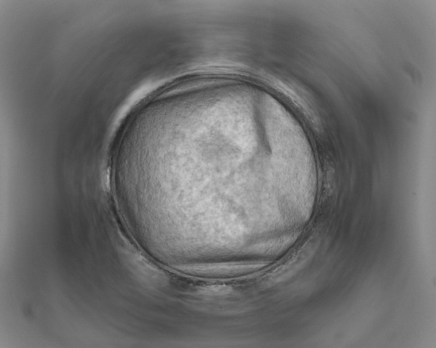 X0000112091462200908251117