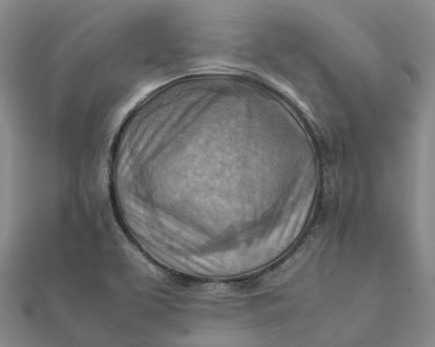 X0000112091463200908251117