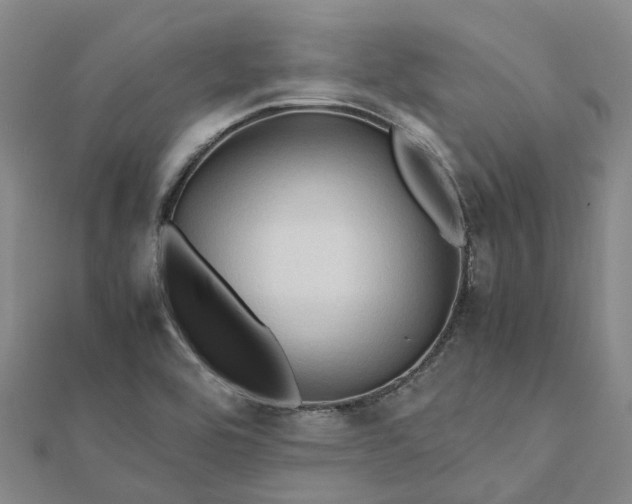 X0000112091464200908251117