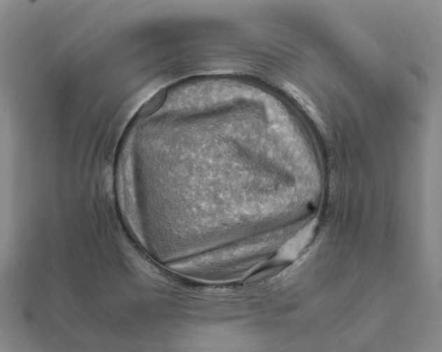 X0000112091465200908251117