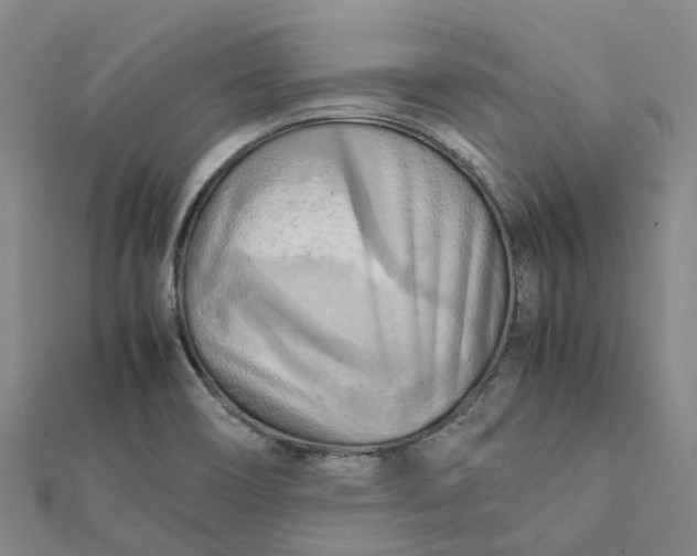 X0000112091466200908251117