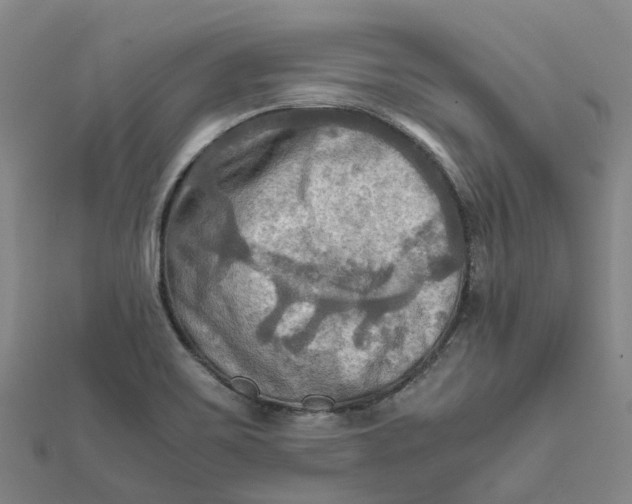 X0000112091467200908251117