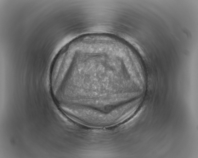 X0000112091469200908251117