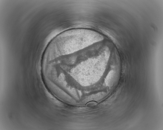 X0000112091471200908251117