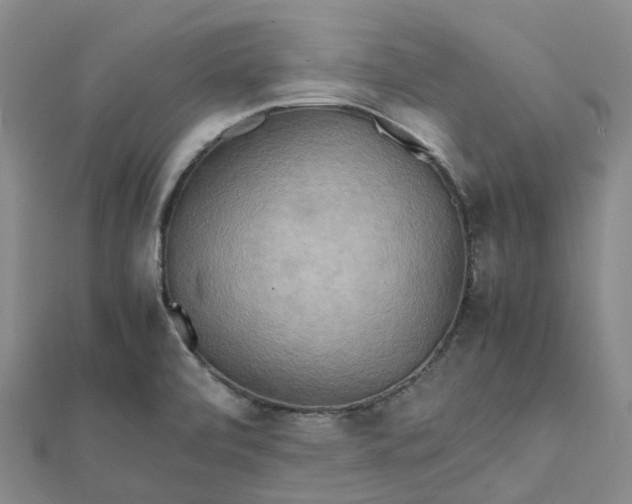 X0000112091472200908251117