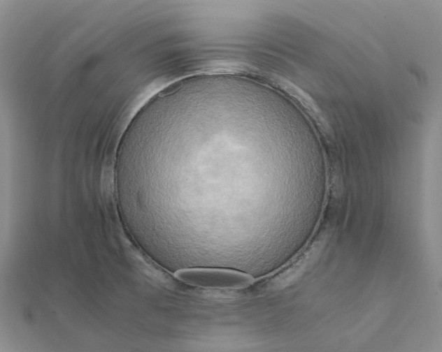 X0000112091473200908251116