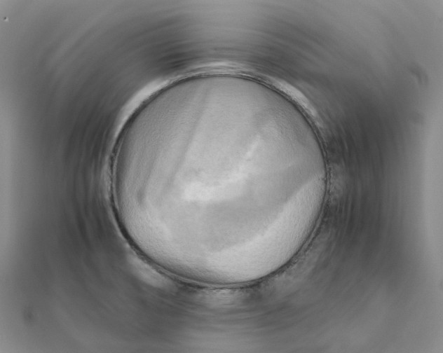 X0000112091474200908251116