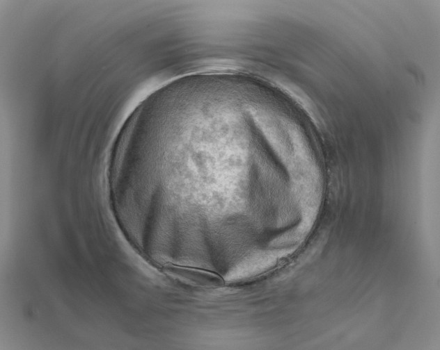 X0000112091475200908251116