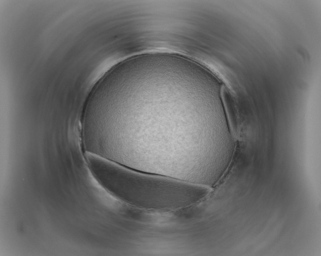 X0000112091476200908251116