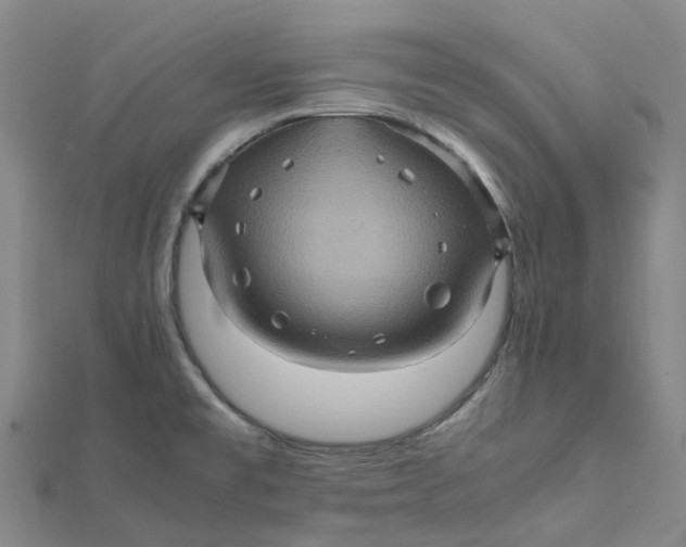 X0000112091477200908251116