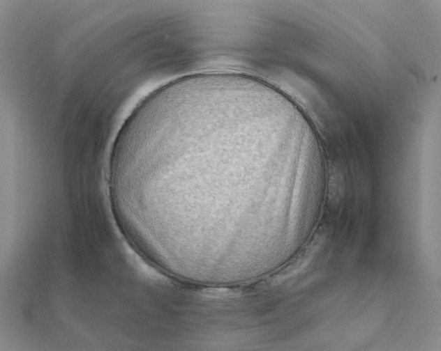 X0000112091478200908251116