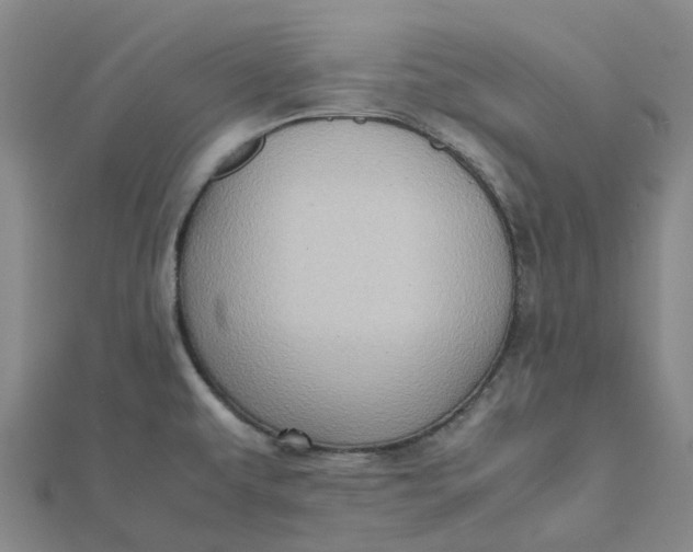 X0000112091479200908251116