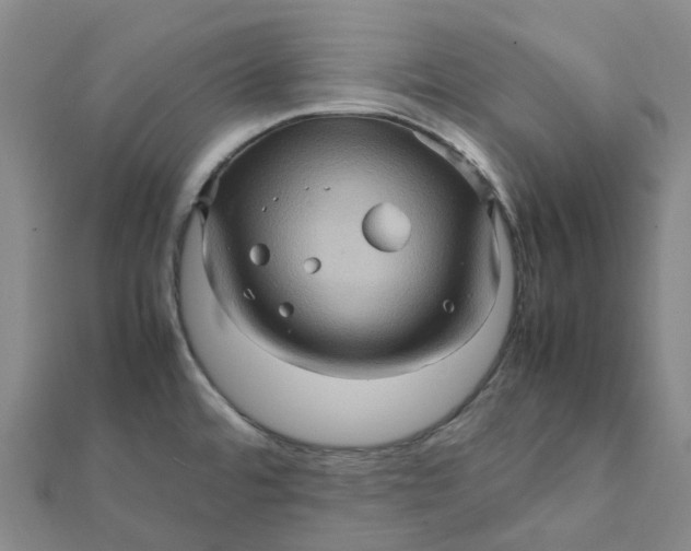 X0000112091480200908251116