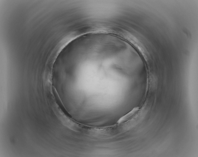 X0000112091481200908251116