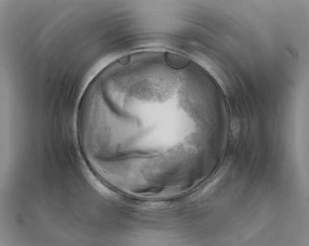 X0000112091482200908251116