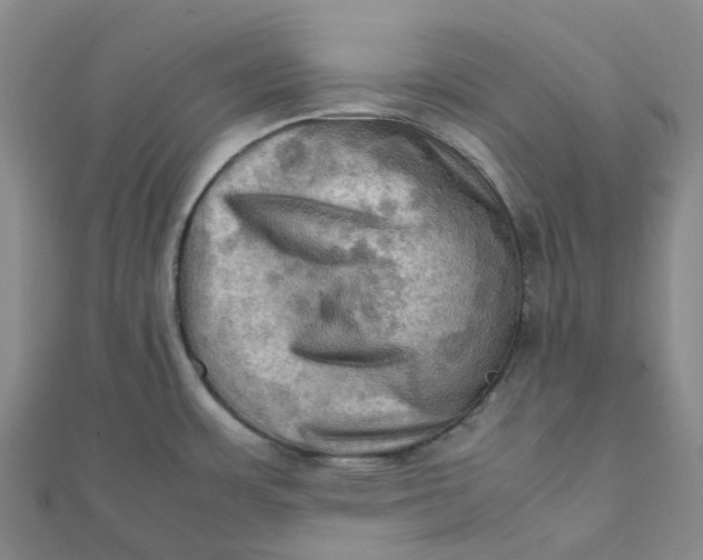 X0000112091483200908251116