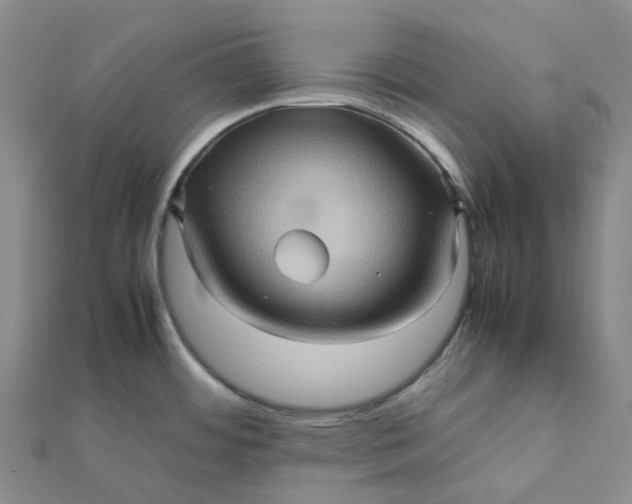 X0000112091484200908251116